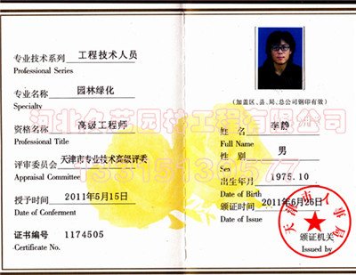 �߼�(j��)���̎�